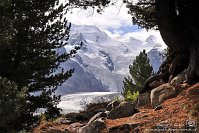 24 Pontresina Morterastch - Ghiacciaio del Morteratsch Capanna Boval